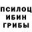 Псилоцибиновые грибы мицелий CapKa3m 000