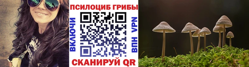 Псилоцибиновые грибы Psilocybine cubensis  Сасово 