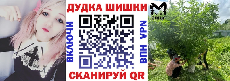Шишки марихуана гибрид Сасово